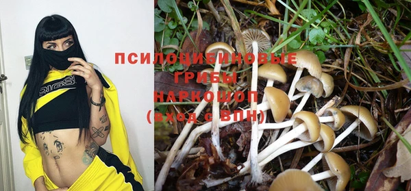 дурь Ладушкин