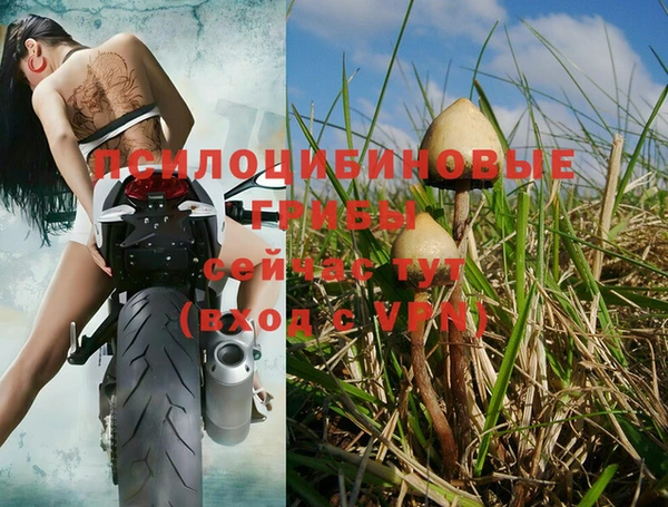 дурь Ладушкин