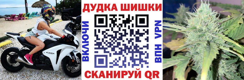 Бошки Шишки SATIVA & INDICA  Купить где  Заволжье 
